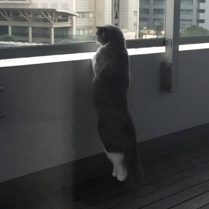 C1c54a89 7f9e 42e9 a020 d353bd9a02c8