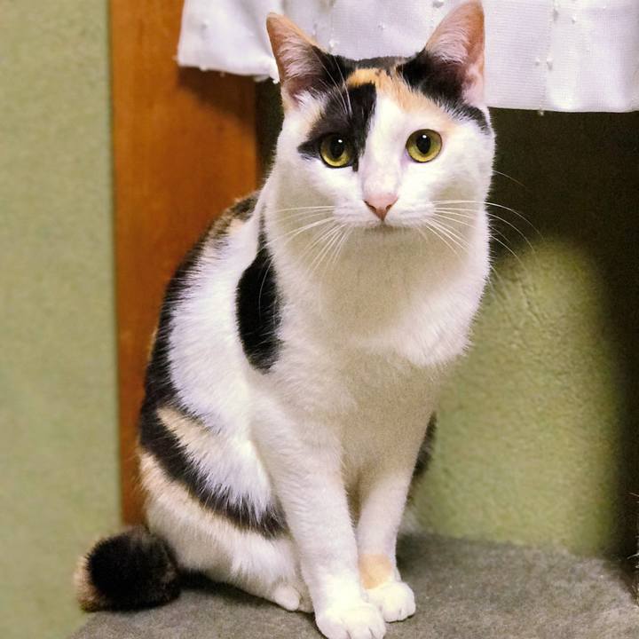 C1c7b664 edda 4e3f 963d f410c8c3cbd3