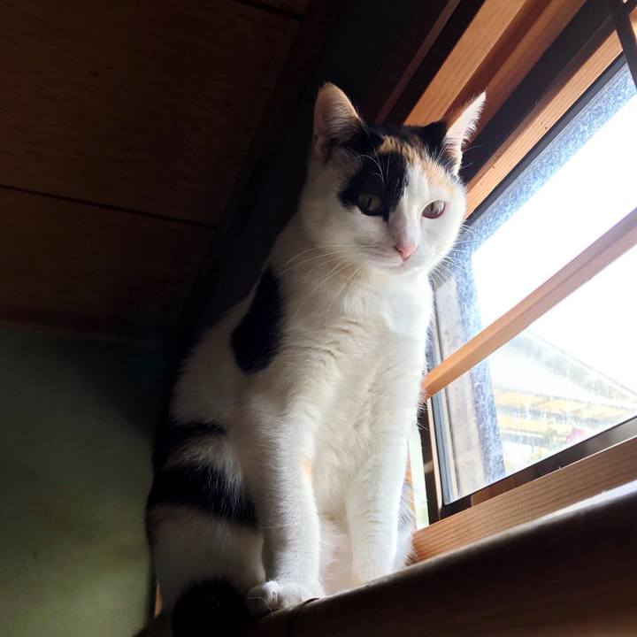 C1c80239 b57a 47b1 8c4c d35b27909ddb