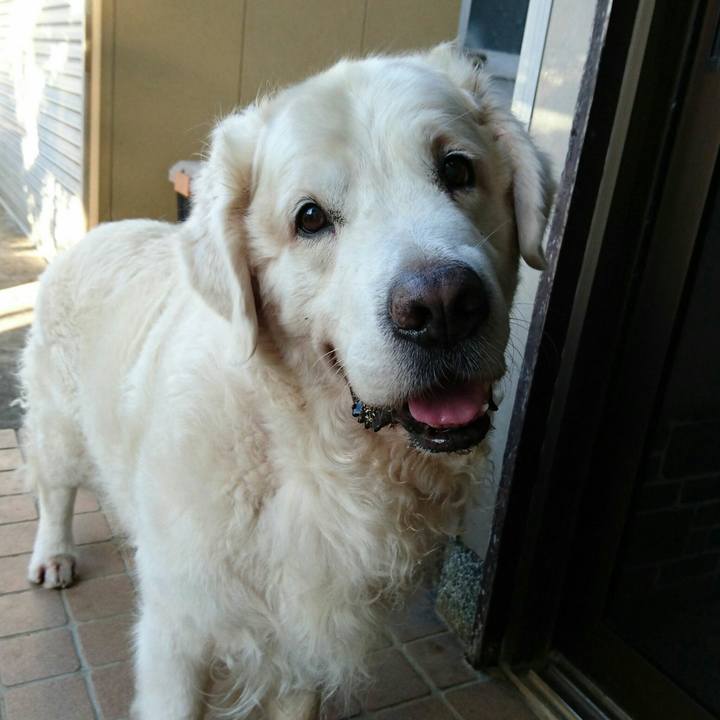 C1c86d84 fd1a 4915 a4a9 10c533b28f3c