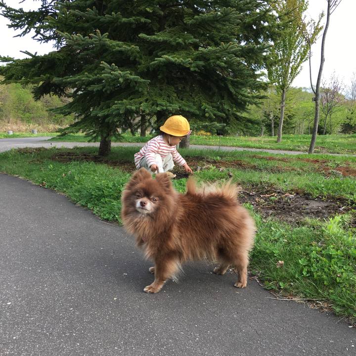 C1c9bafe 361b 4c44 b7a4 57491cdf3c26