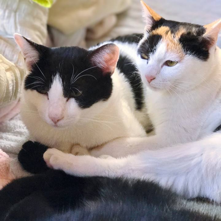 C1ca36d3 5b46 454d ac21 c5057068e975