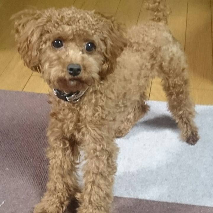 C1ca4314 3029 4280 883b 5bac891c08bc