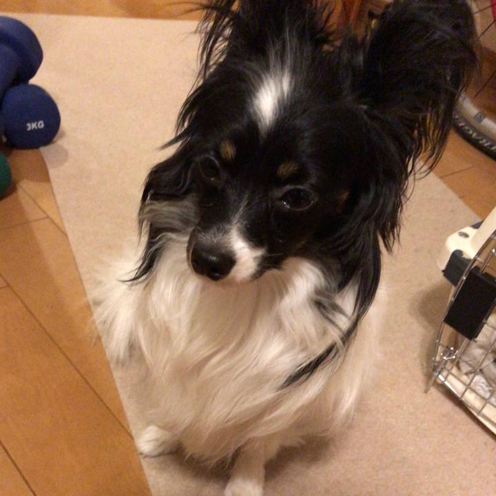 C1cb80a9 5d7b 4aa3 b06b d0724585d465