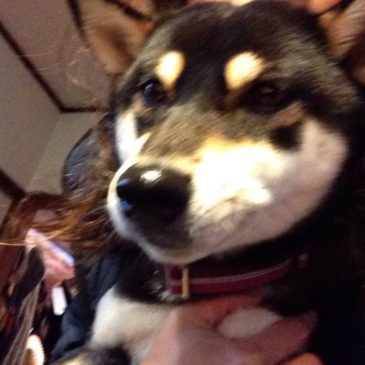 C1cb8b83 e0b3 498b 9452 fe22cd0a3078