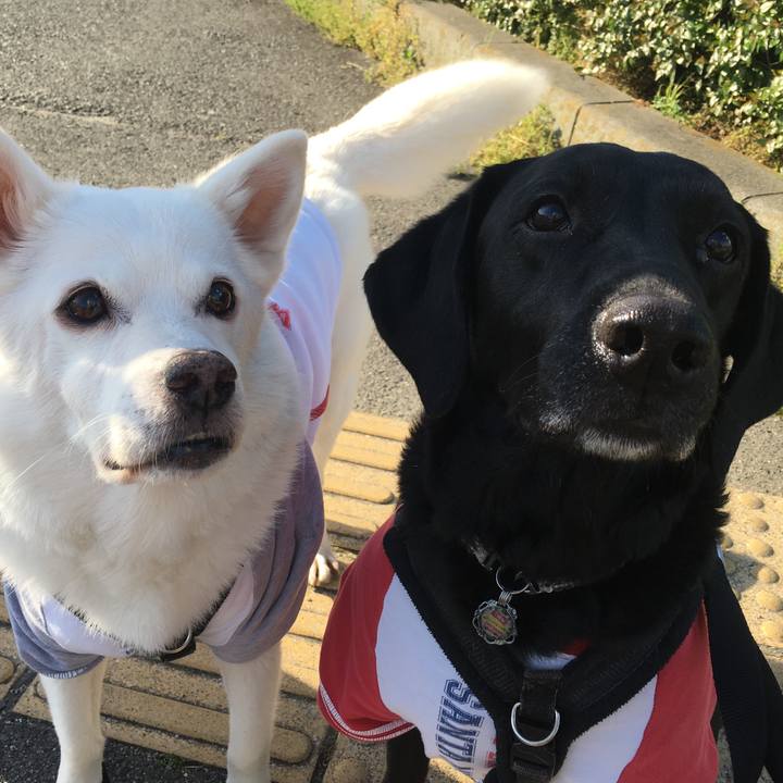 C1cbafae 3167 4606 96aa 01402bb5d107