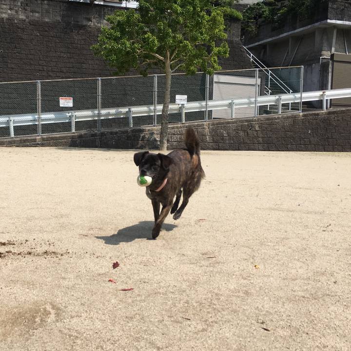 C1cc7cfd 3136 4560 913a 3136ab88e675