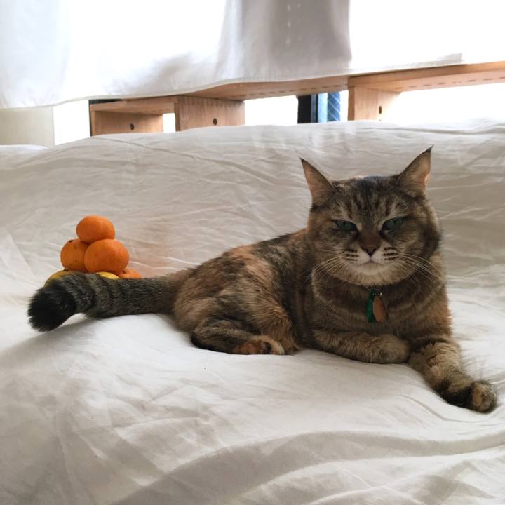 C1cd841f d950 4074 b5bf e79a43c50a93