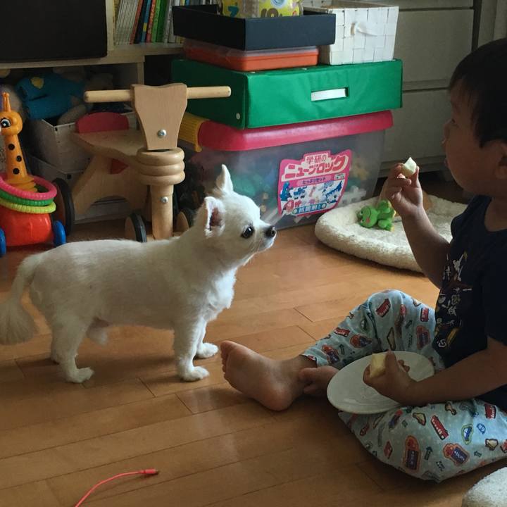 C1cd89f5 046e 4e82 b076 f6577455129c