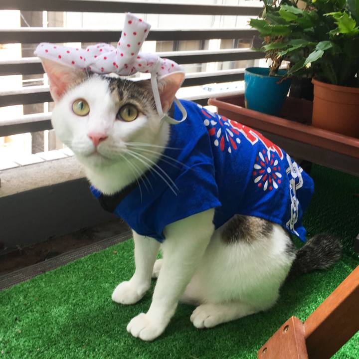 C1cdb855 f33f 4623 889c de8396f047c9