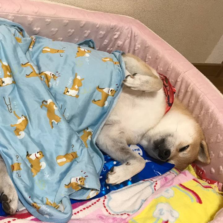 C1ce0d11 202d 467c af30 c2e560597f26