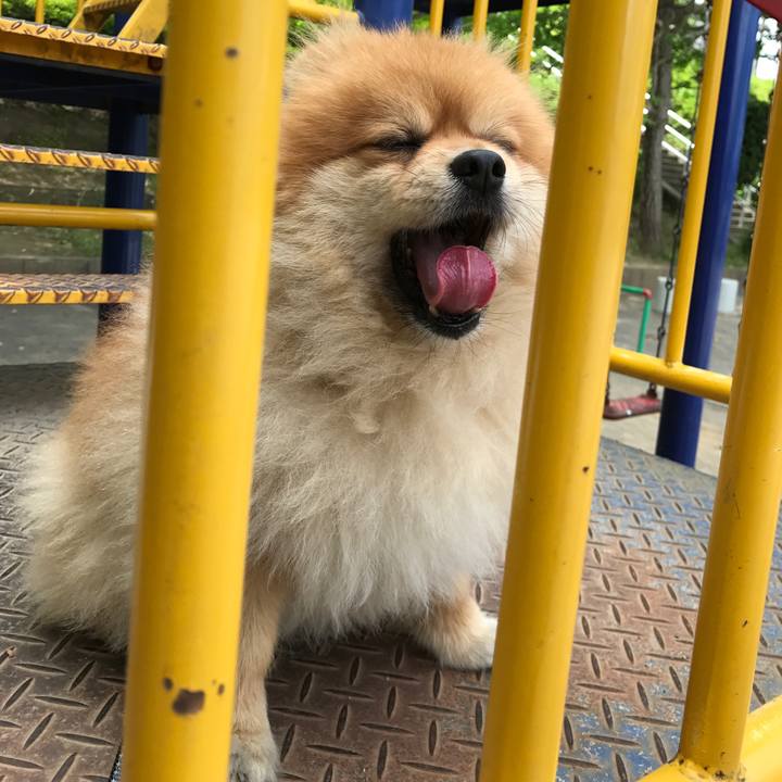 C1cec4d8 2ebe 4948 ac80 a504900ac9a8