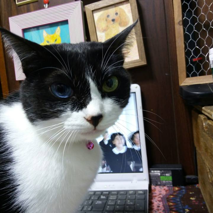 C1cedfe9 7ed7 49be a6dd 9acedf5002cf