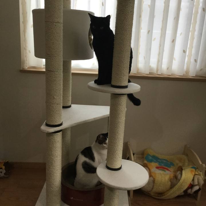 C1cf15bc c2ce 485c 916d a32545730a2e