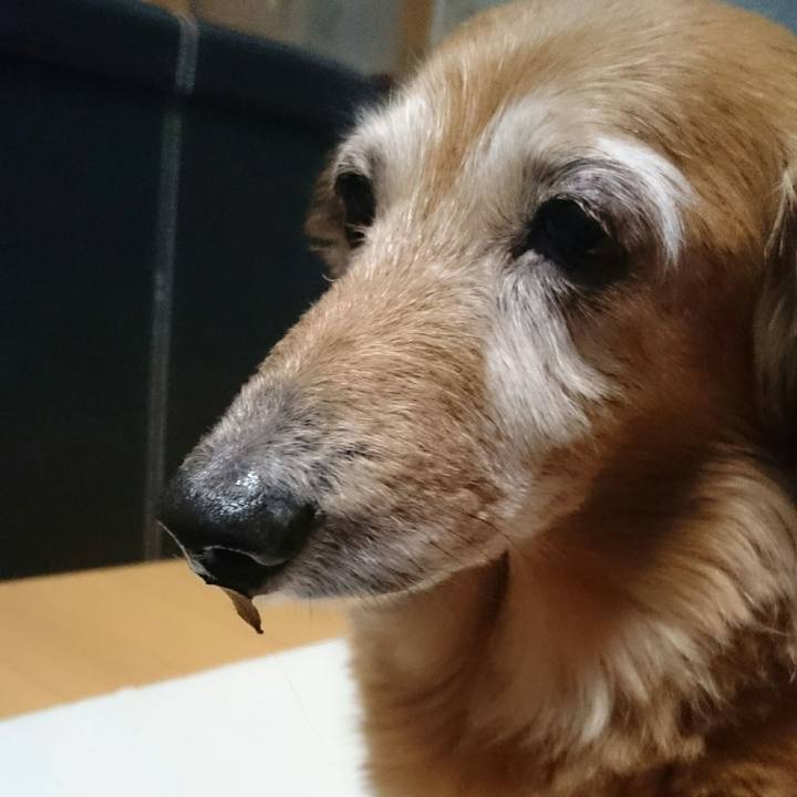 C1d02f41 d716 4887 8cb0 b7d2c2d01113