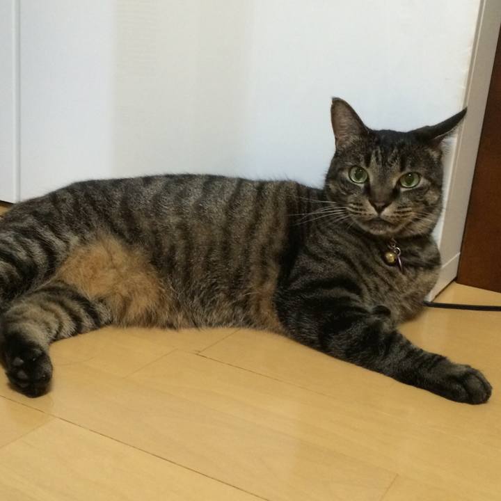 C1d060c2 9d87 4f87 aae0 f199d7bcd46c