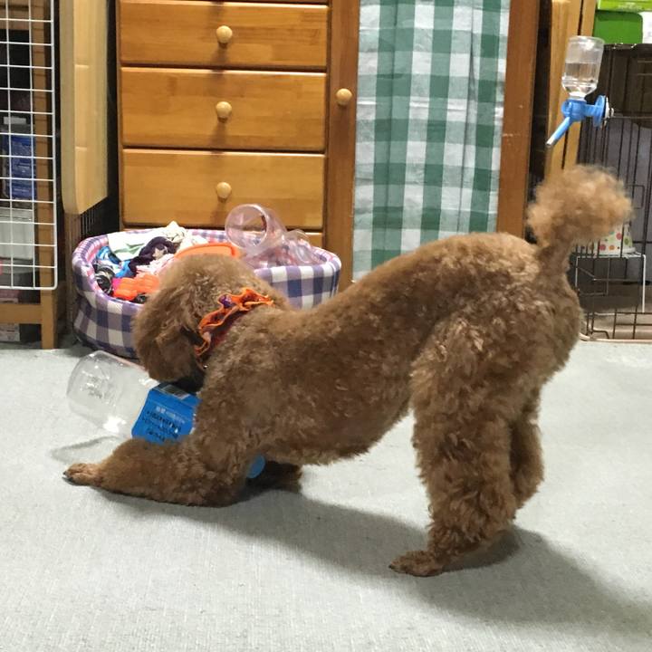 C1d0f037 4cf6 4357 8744 d027aa8a4488