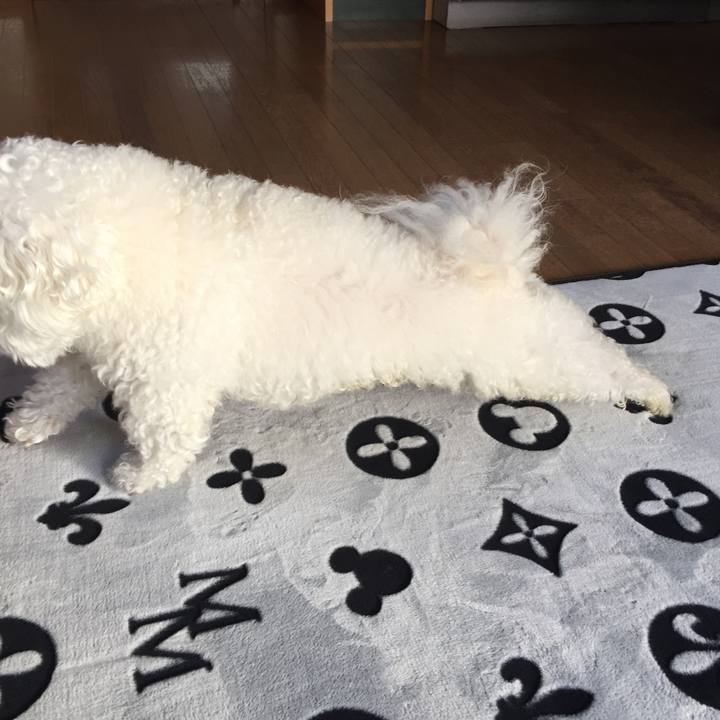 C1d0fa09 14e4 4ea1 bccf 53fa68f4e292