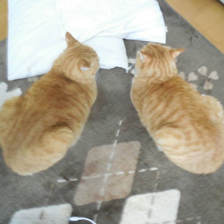 C1d17e52 21fd 4894 976c 324a19f70f5a