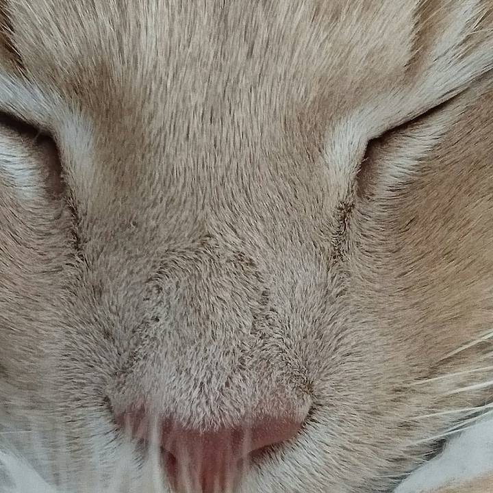 C1d1d127 fba4 4d37 b983 692fed884ea8