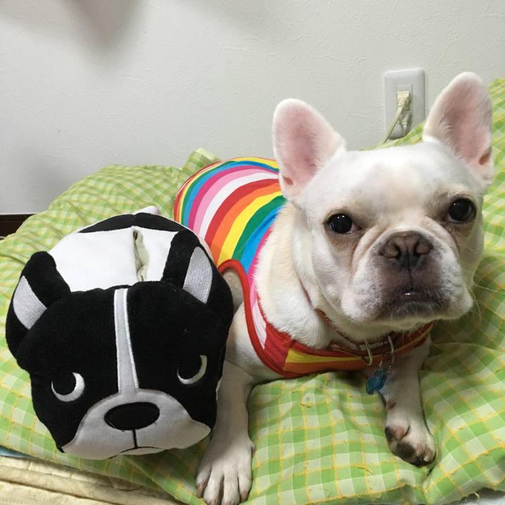 C1d1e7eb 2cfe 4269 92af 23aab23725a7