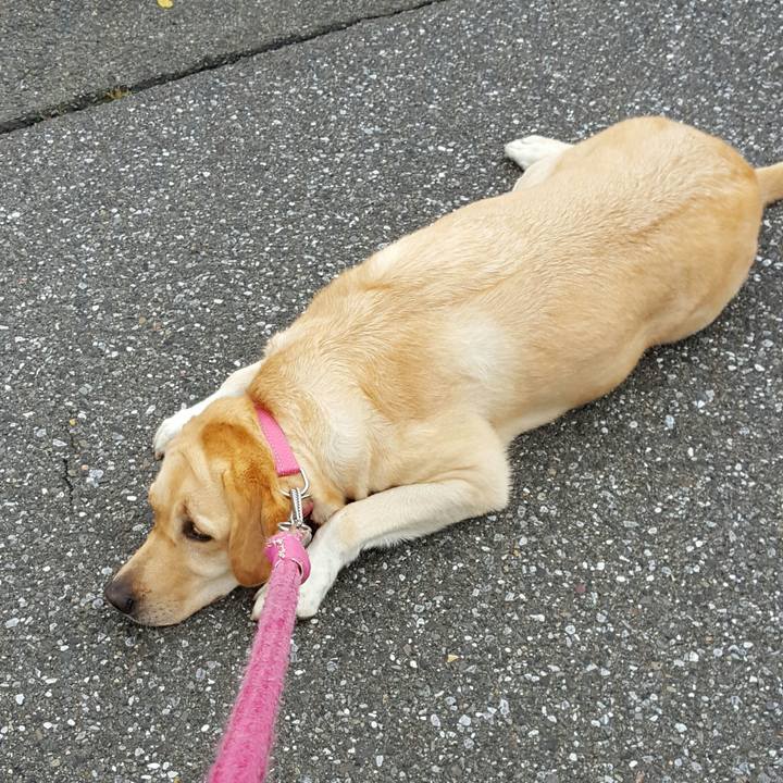 C1d271c1 0087 4063 86fb 57a2446f460a