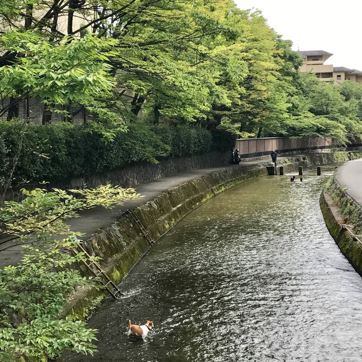 C1d31be9 f465 4ce0 83c9 f5c068c741af