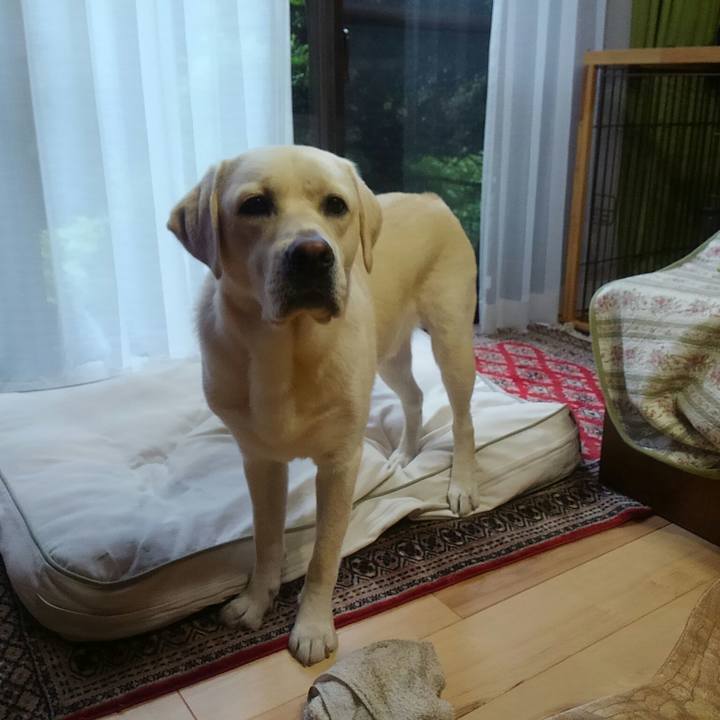 C1d32c60 4f90 4958 858b 2ea49b1698be