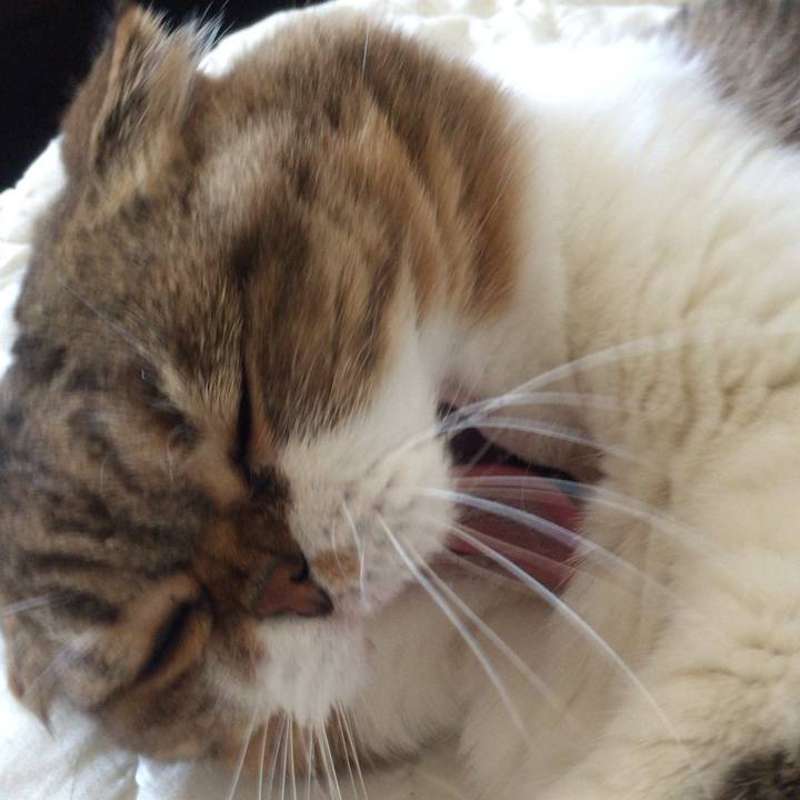 C1d388a8 0692 4772 83af 42b9e71dbb67