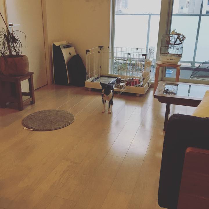 C1d3fd5e 145a 4702 a977 b5082092b255