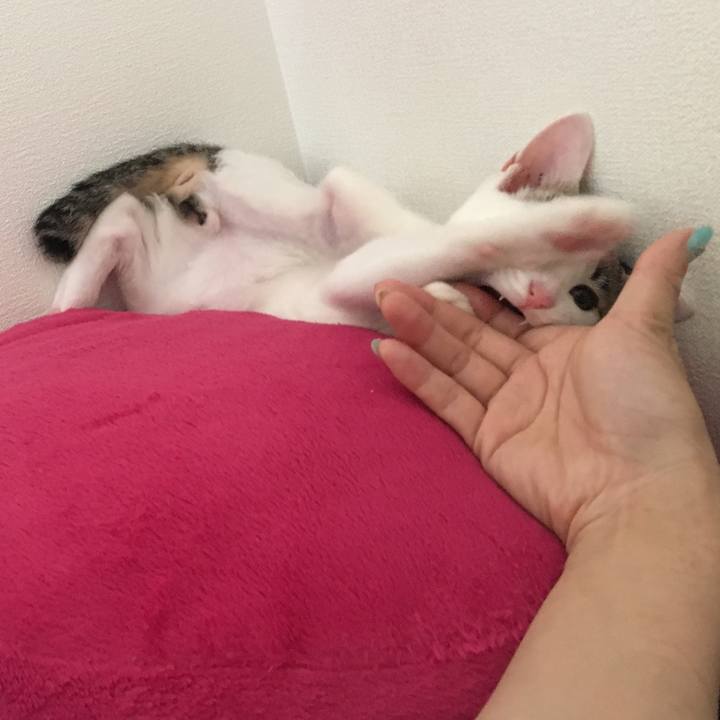 C1d417e1 302a 4951 87d2 66d100525c31