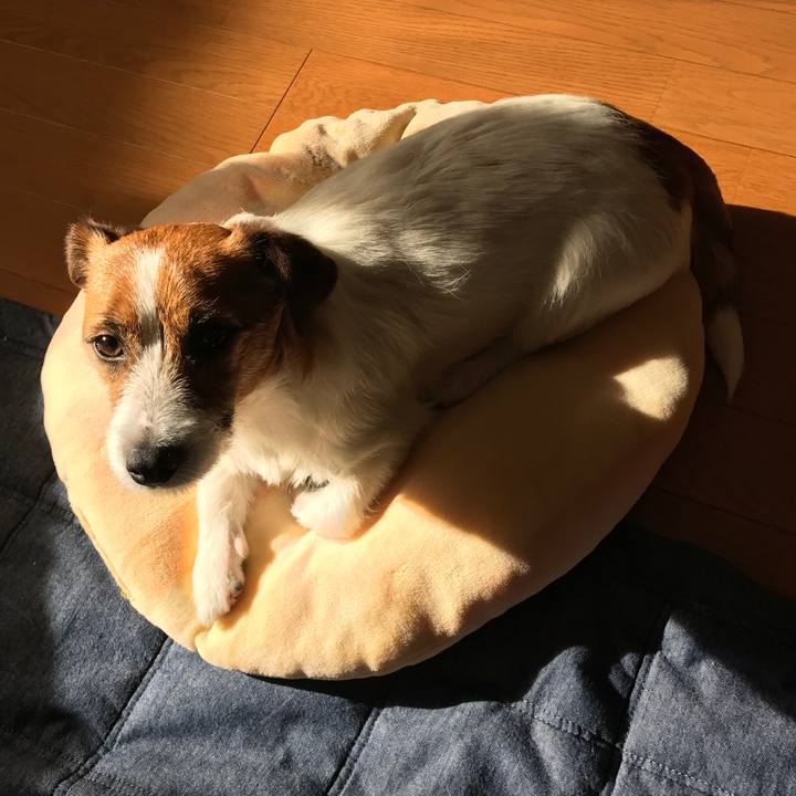 C1d470f7 a14f 4da9 a76e f071dbb6fa35