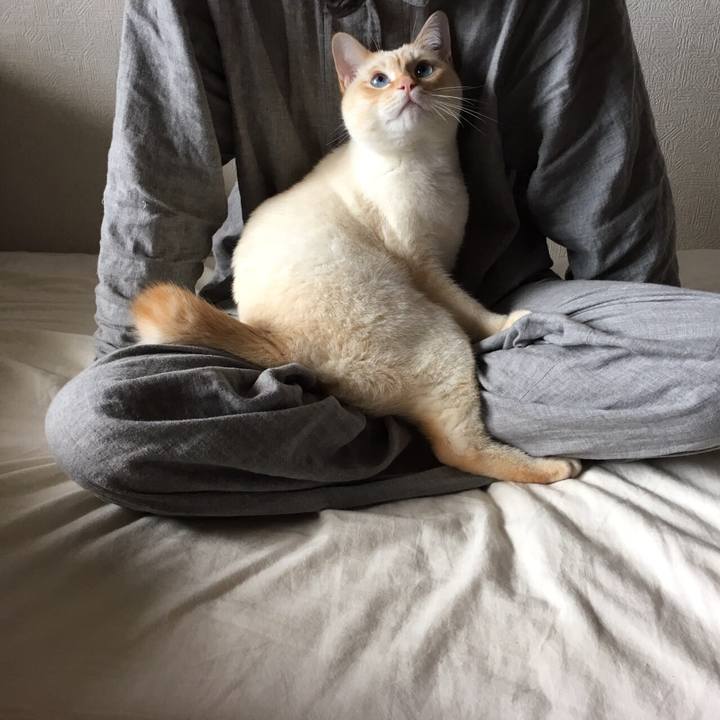 C1d51a1f 6a3a 41e2 a38c 35c2cf0de1df