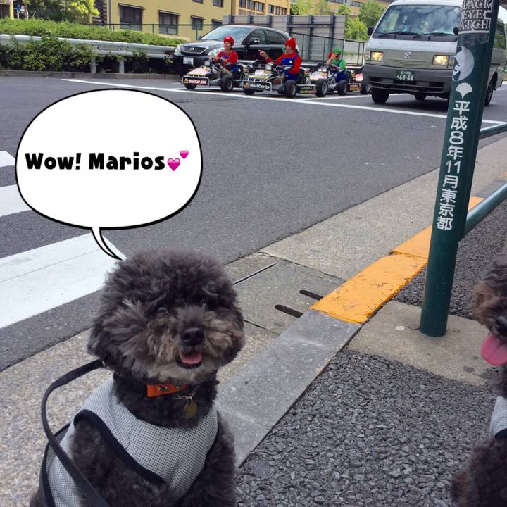 C1d5fdb3 3510 4fe5 bc3a 75e787f31be0