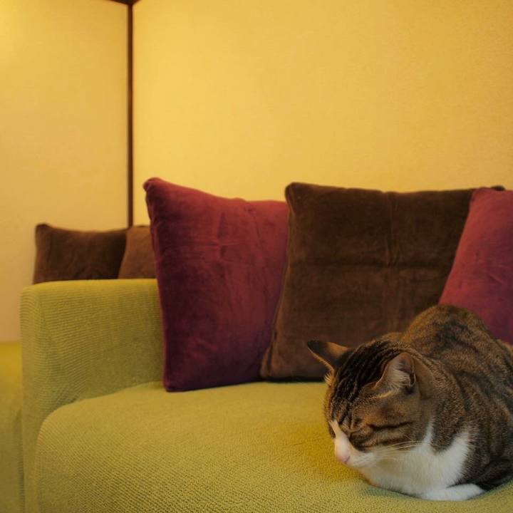 C1d623b6 6e4d 4271 9d93 72c86d7e9fb2