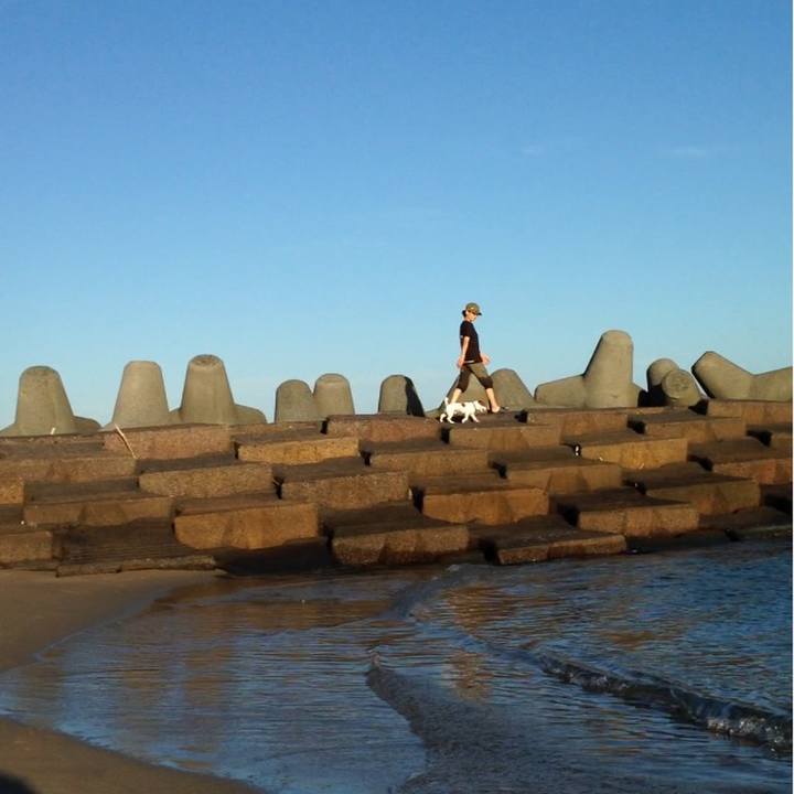 C1d6a547 51a0 4838 9112 23671bf41029