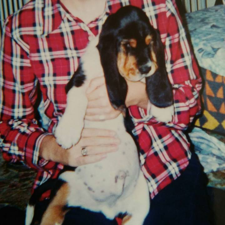 C1d72b84 3706 46ac a464 87e73ae6cb54