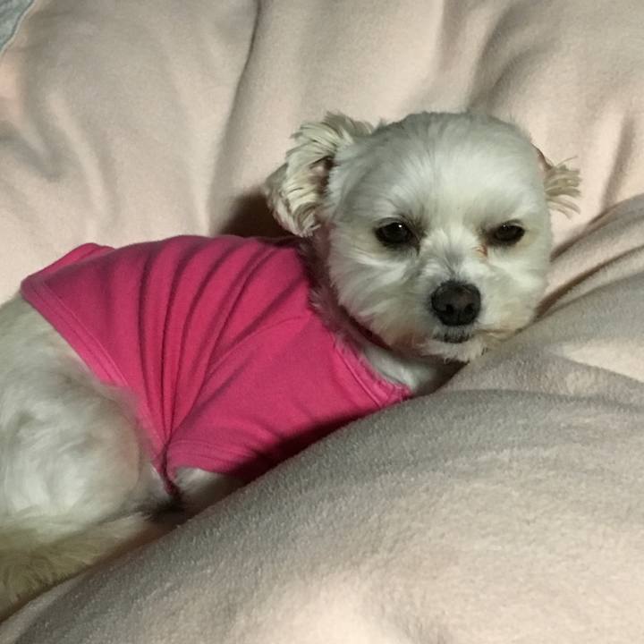 C1d76ade a6d1 4571 a534 7284b1fa6021