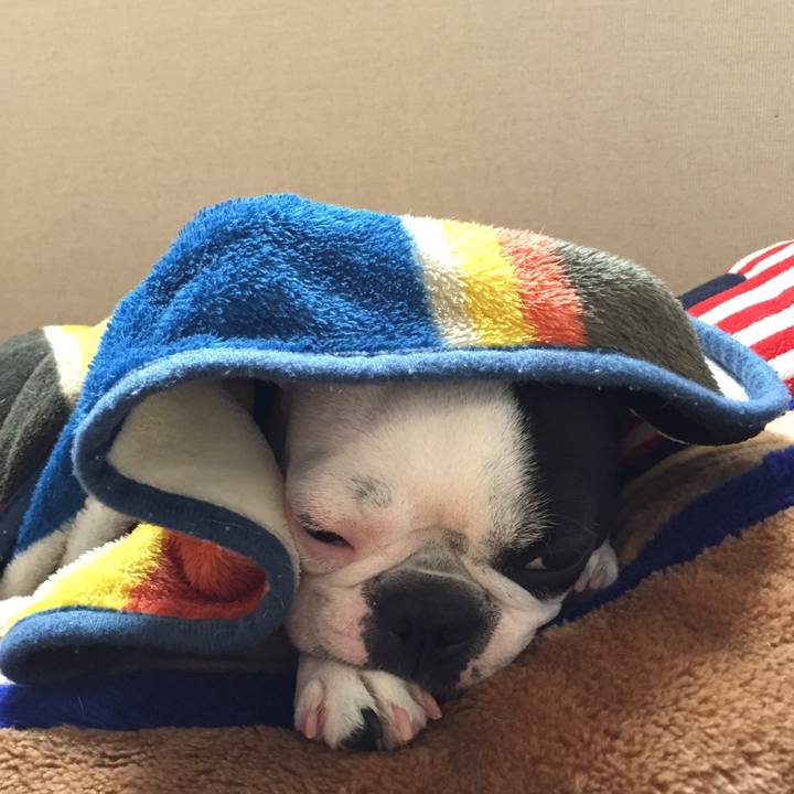 C1d81014 26f9 4e58 b9e2 7ceeb9b12587