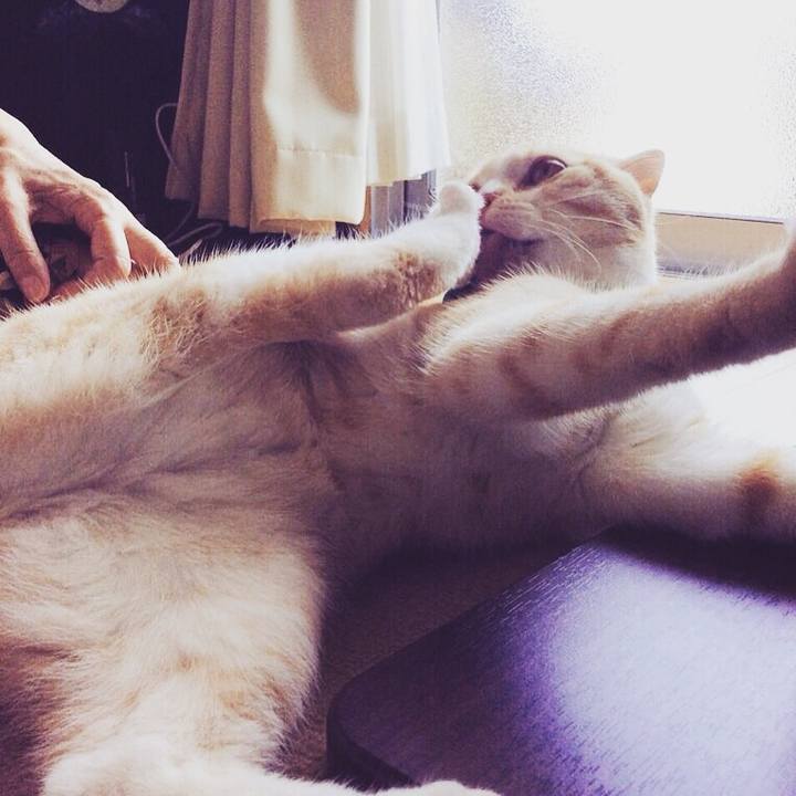 C1d87413 4422 4d28 bd70 5ab87d0efb40