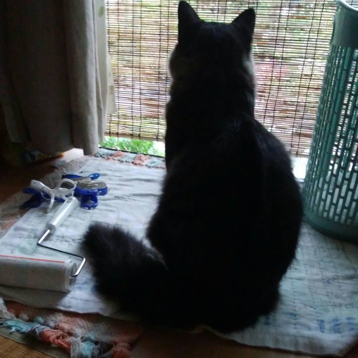 C1d8d628 6500 4b6e 9868 12734f6d0370