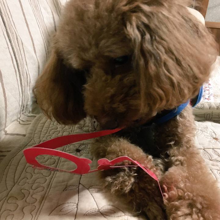 C1d915d5 6bba 4169 976d 8910d004e42c