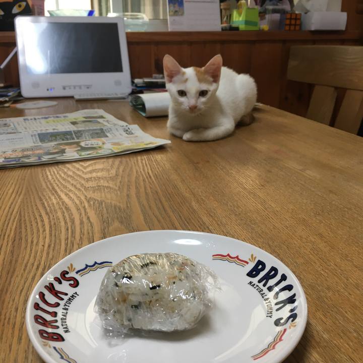 C1d91976 5461 46b4 943f 4dd8e4795919