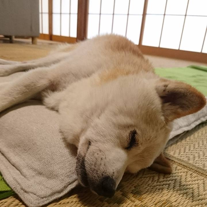 C1d94d89 f90a 4b10 aa11 8a821f83d87d