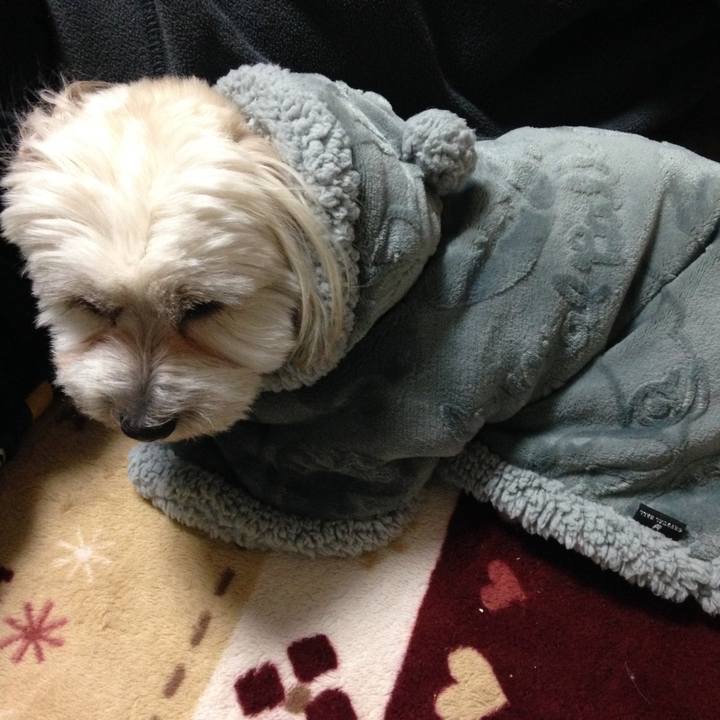 C1d9c823 be28 430e 8332 9f45e5d11031