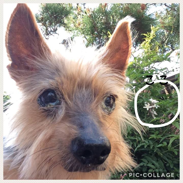 C1d9c920 d637 4e1f 9b99 fc5e96558418