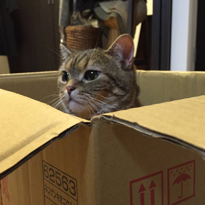 C1d9f30c f4e2 4072 8fe6 375f571c732a