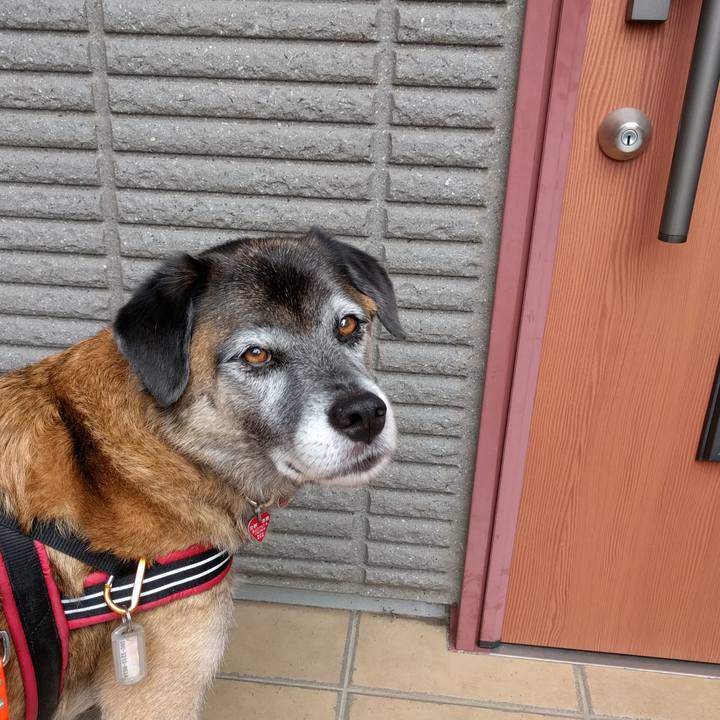 C1da0f94 5258 4e88 a297 eb6bc2698c6f