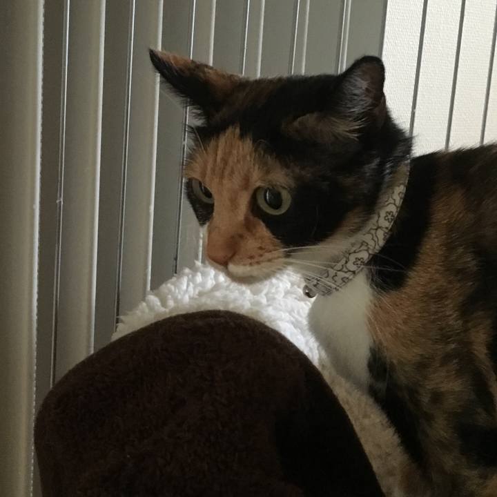 C1db70c4 b26b 4fa0 ac59 62d0e89230e0