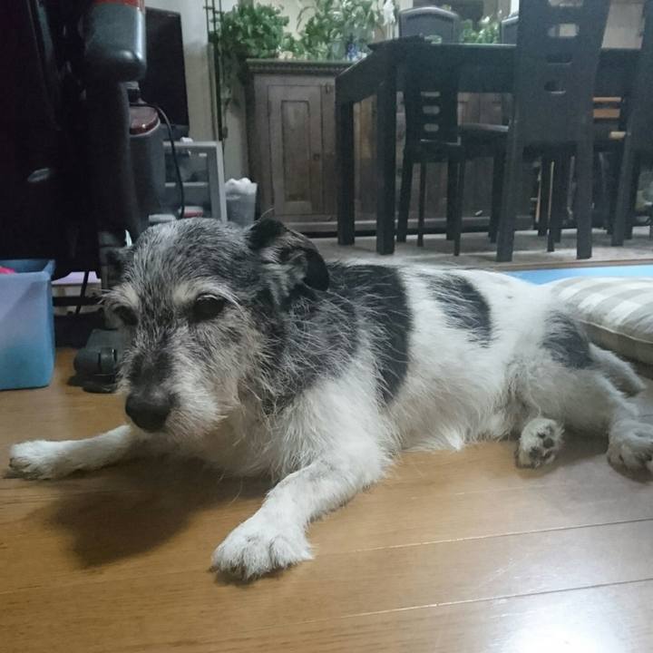 C1dbe032 c86e 408b af27 8aae8ec3fe35